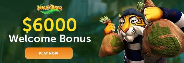 lucky tiger